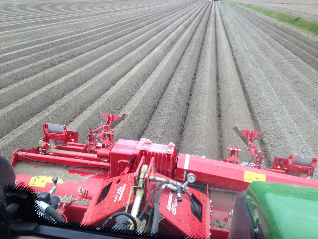 DEMO Grimme GF400 frees! 